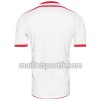 Maillot de Foot Tunisie Domicile Coupe du monde 2018